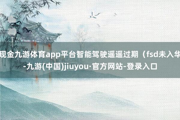 现金九游体育app平台智能驾驶遥遥过期（fsd未入华-九游(中国)jiuyou·官方网站-登录入口