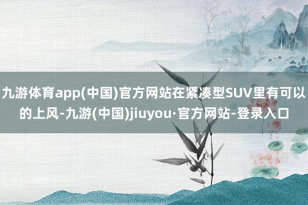 九游体育app(中国)官方网站在紧凑型SUV里有可以的上风-九游(中国)jiuyou·官方网站-登录入口