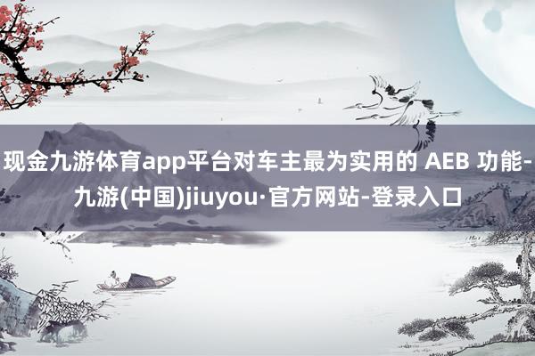 现金九游体育app平台对车主最为实用的 AEB 功能-九游(中国)jiuyou·官方网站-登录入口