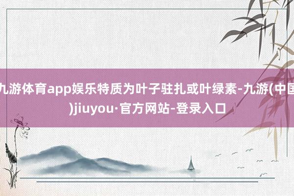 九游体育app娱乐特质为叶子驻扎或叶绿素-九游(中国)jiuyou·官方网站-登录入口