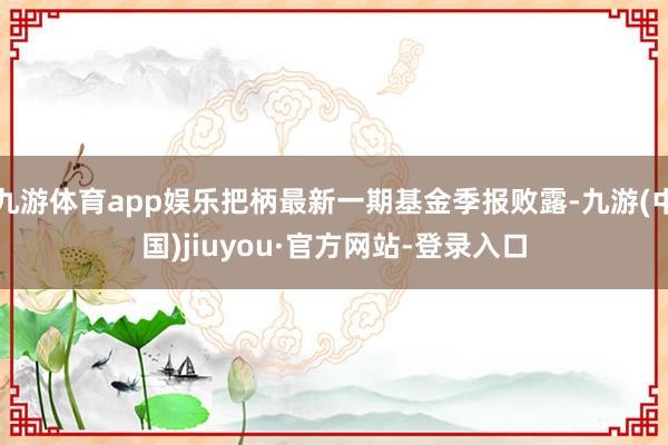 九游体育app娱乐把柄最新一期基金季报败露-九游(中国)jiuyou·官方网站-登录入口